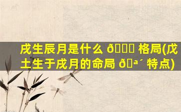 戌生辰月是什么 🐛 格局(戊土生于戌月的命局 🪴 特点)